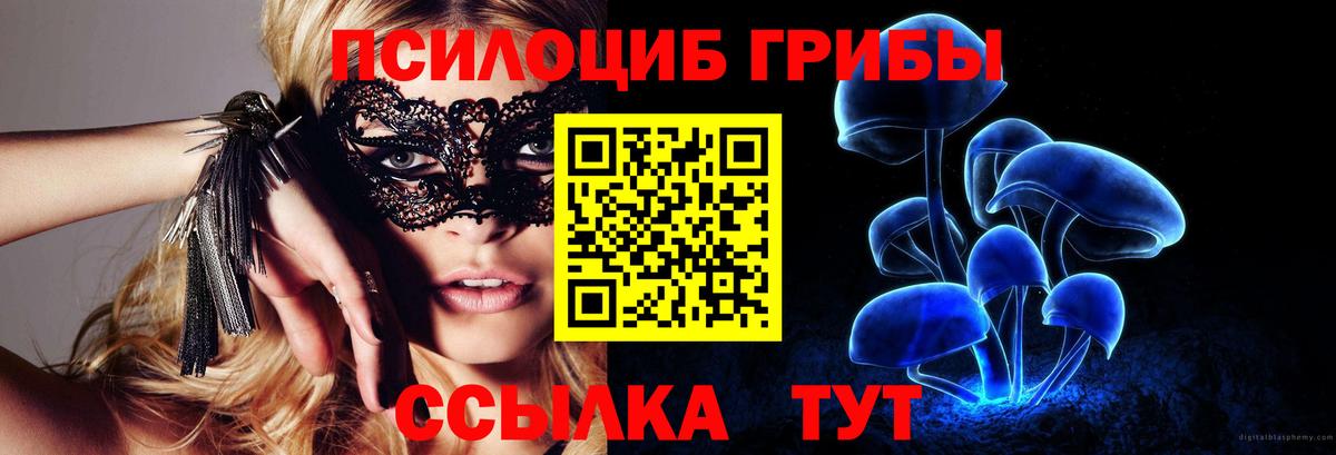 Воронеж  Галлюциногенные грибы ЛСД  Вход с VPN 